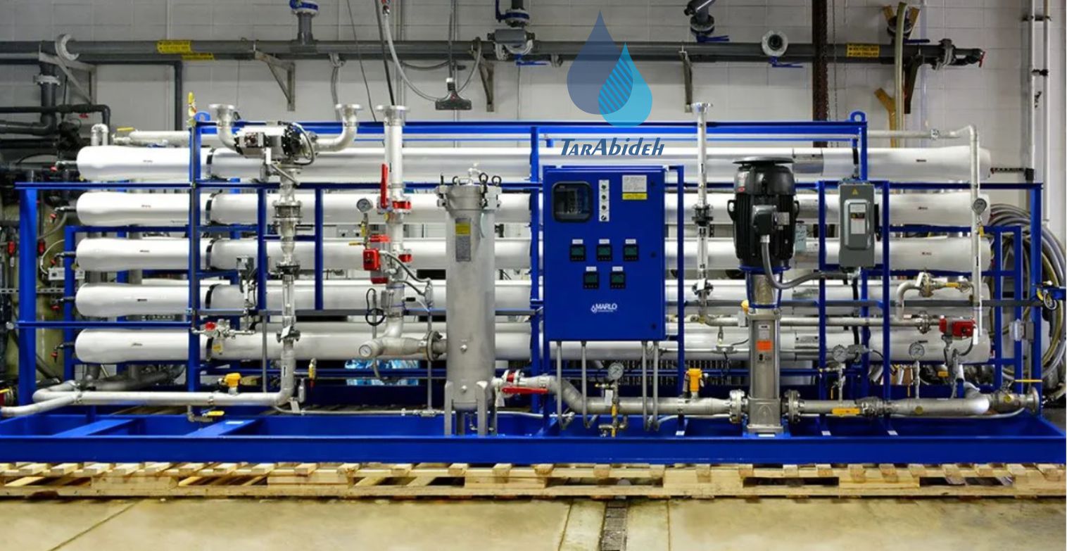 The Hidden Role of Ions in the Performance of RO and NF Systems